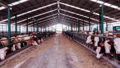 Orhangazi Belediyesi 2025 Yılı Aralık Ayı Meclis Toplantısı, Belediye Başkanı