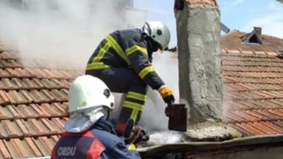 Bursa'nın Orhangazi ilçesinde son zamanlarda kış aylarının gelmesi ile sayısı