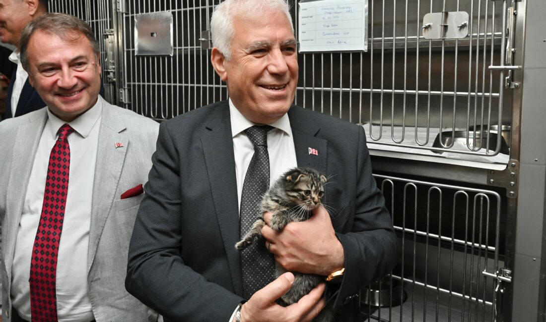 Bursa’da sahipsiz hayvanların daha iyi koşullarda yaşaması için birçok proje