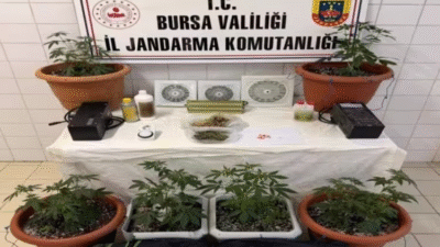 Bursa İl Jandarma Komutanlığı, uyuşturucu ile mücadele kapsamında Nilüfer ilçesinde