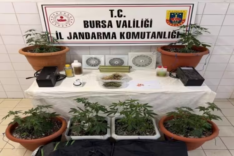 Bursa İl Jandarma Komutanlığı, uyuşturucu ile mücadele kapsamında Nilüfer ilçesinde
