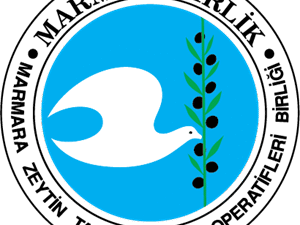 Bursa'nın Orhangazi ilçesinde 189 nolu Marmarabirlik zeytin satış kooperatifinde geçtiğimiz