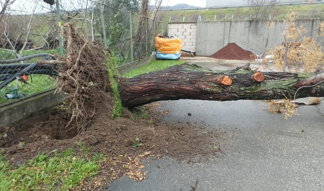 Bursa'da etkili olan şiddetli lodos, kent genelinde hayatı adeta durma