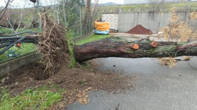 Bursa'da etkili olan şiddetli lodos, kent genelinde hayatı adeta durma
