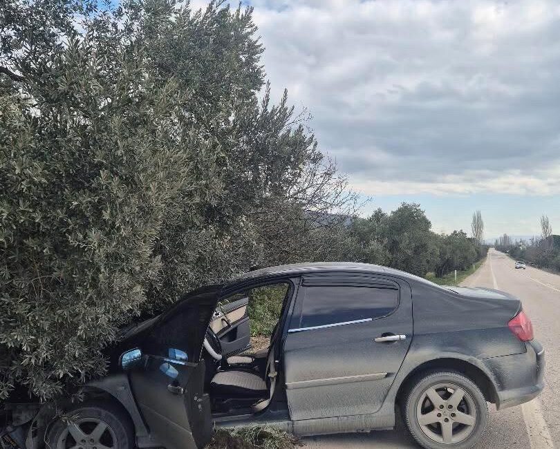 Kontrolden çıkan otomobil ağaca çarptı! 2 yaralı