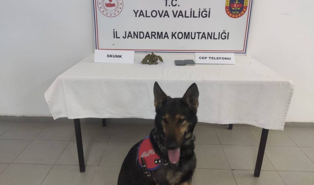 Yalova İl Jandarma Komutanlığı, tarafından bir adrese yapılan baskında uyuşturucu