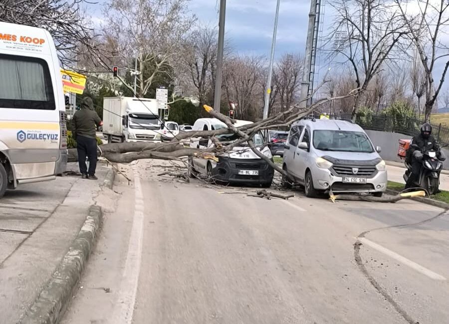 Bursa'da bu sabah saatlerinde etkisini gösteren şiddetli lodos sebebiyle arabanın