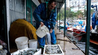 Bursa Büyükşehir Belediyesi’nin tarımsal üretimi teşvik etmek ve artan maliyet