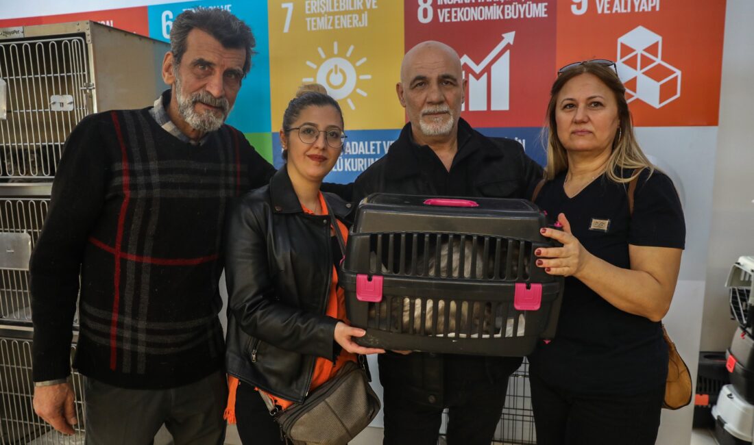 Bursa Büyükşehir Belediyesi; Bursa Kent Konseyi Hayvan Hakları Çalışma Grubu,