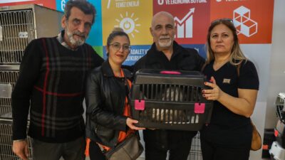 Bursa Büyükşehir Belediyesi; Bursa Kent Konseyi Hayvan Hakları Çalışma Grubu,