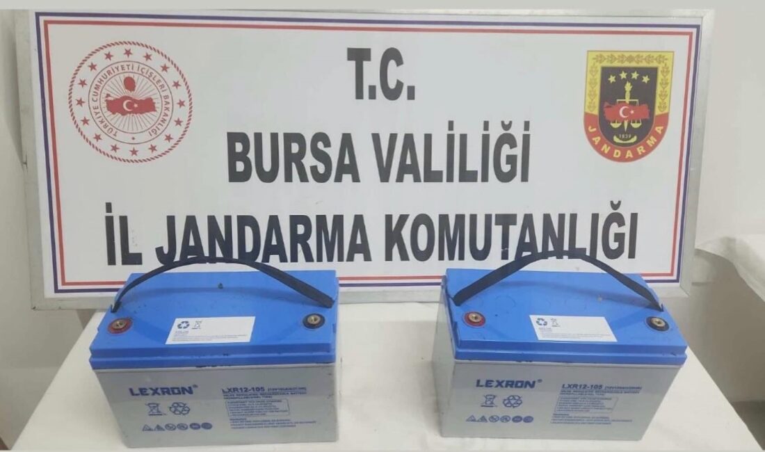 Bursa'nın İznik ilçesinde bir zeytin tarlasında bulunan  evde meydana gelen