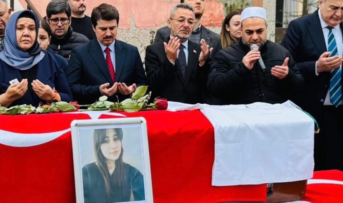 Bursa'nın İznik ilçesinde Orhangazi yolu üzerinde geçtiğimiz hafta meydana gelen