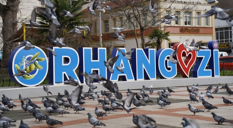 Bursa’nın merkez ve ilçelerinin meydanlarında görmeye alışık olduğumuz güvercinlerin beslenmesi