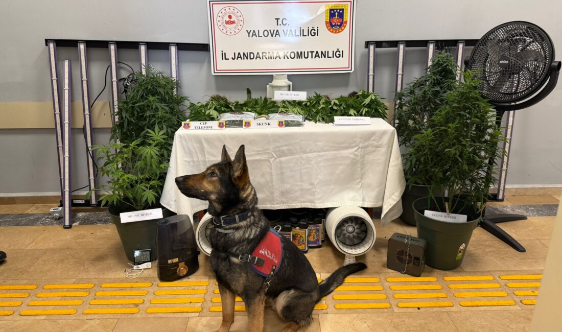 Yalova İl Jandarma Komutanlığı tarafından düzenlenen operasyonda, bir evde kurulan