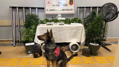 Yalova İl Jandarma Komutanlığı tarafından düzenlenen operasyonda, bir evde kurulan