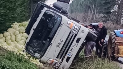 Bursa'nın Orhangazi ilçesinde yağışlı havada kontrolden çıkan lahana yüklü kamyonet