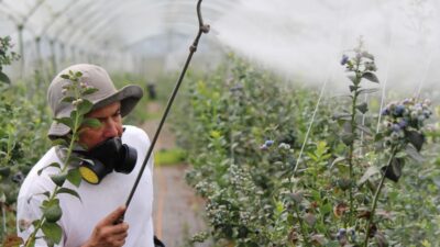 Bursa İl Tarım ve Orman Müdürlüğü’nden yapılan duyuru ile 1