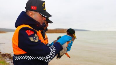 Bursa İl Jandarma Komutanlığına bağlı ekipler, Uluabat Gölü’nde gerçekleştirdikleri denetimlerle