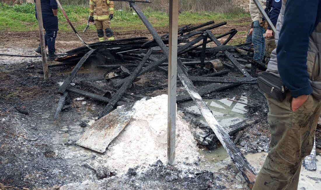 Bursa'nın Orhangazi ilçesine bağlı Yeniköy Mahallesi'nde meydana gelen olayda bir
