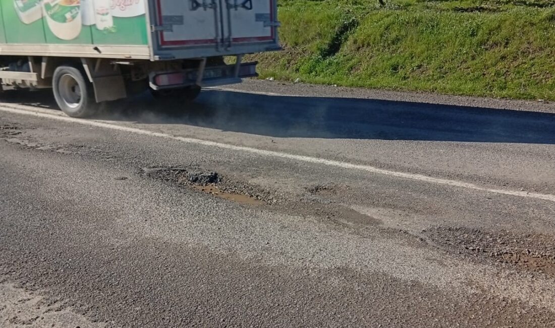 Bursa'nın Orhangazi ilçesinde, Yeniköy yolu üzerinde bulunan çok sayıda derin