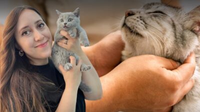 Veteriner Hekim Elif Ebru Dalyan,  Uludağ Üniversitesi Veteriner Fakültesi’nden 2017