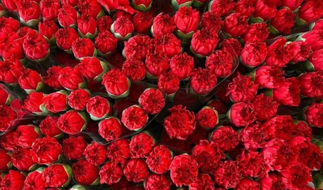 8 Mart Dünya Kadınlar Günü yaklaşırken Bursa'da çiçekçilerde yoğun mesai