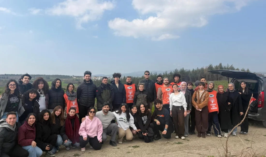 Bursa'da iki yıl önce çıkan yangında zarar gören ormanlık alan,