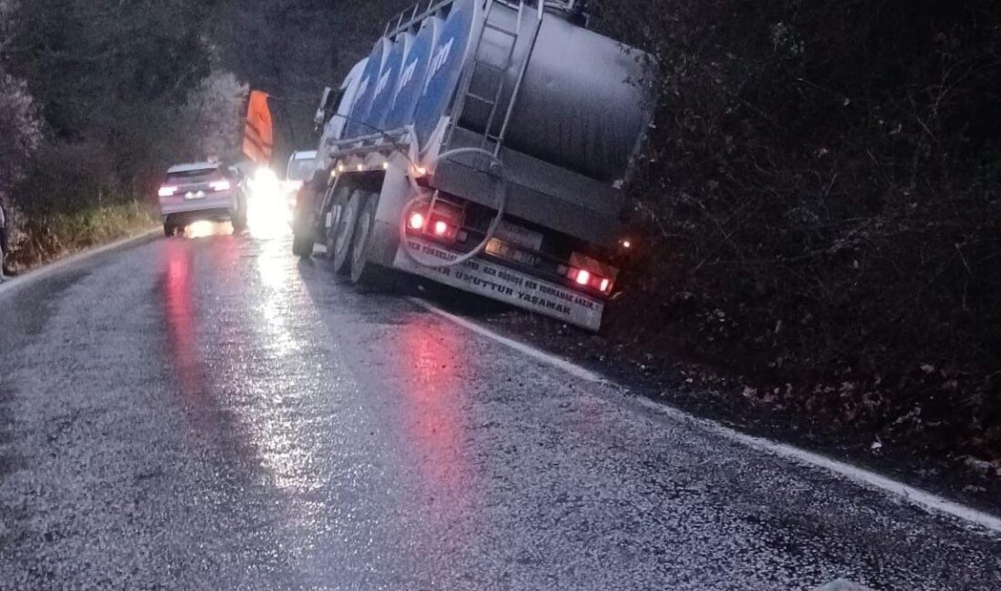 Bursa’nın Orhangazi ilçesinde Yenişehir yolu üzerinde meydana gelen trafik kazasında,
