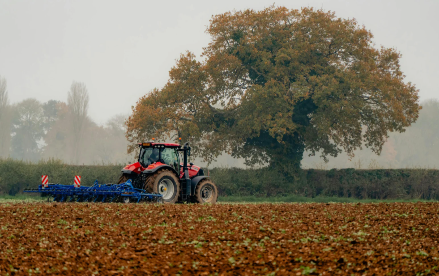 Türkiye'nin sanayi ile birlikte aynı zamanda tarım şehri olan Bursa’da,