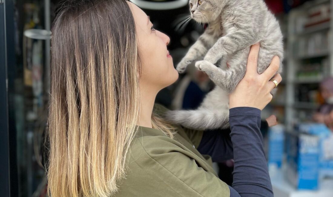 Evcil hayvanlarımız konuşamaz. Bu nedenle hasta olduklarında “canım acıyor” ya