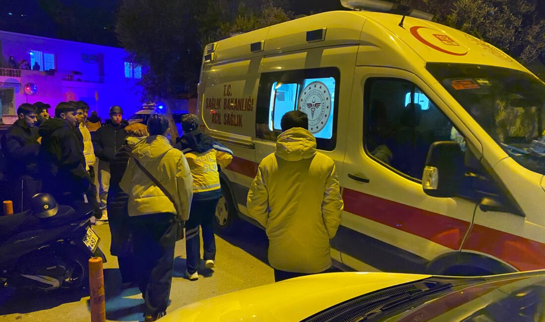 Bursa’nın Orhangazi ilçesi Hürriyet Mahallesi’nde meydana gelen trafik kazasında, bir