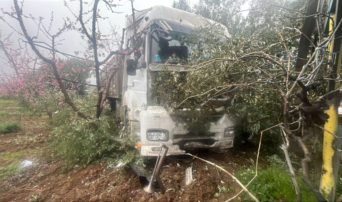 Bursa'da, Orhangazi-İznik yolunda yağışlı hava nedeniyle kontrolden çıkan kamyon zeytin