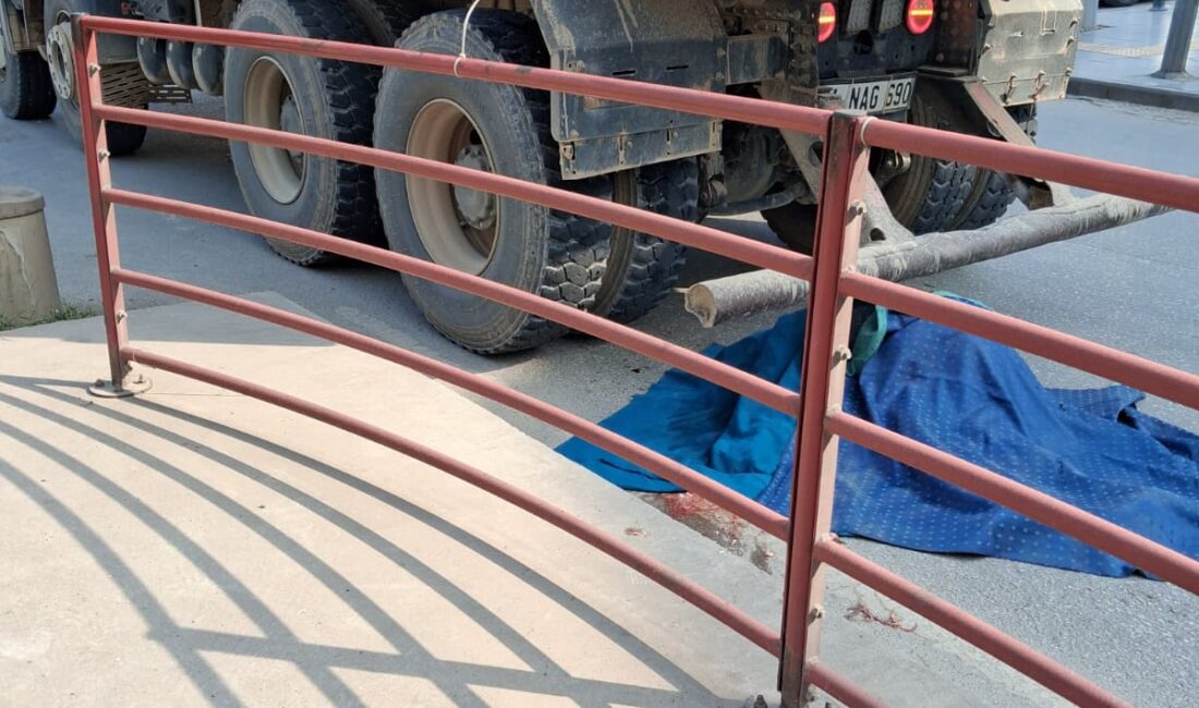 Yalova'da meydana gelen feci trafik kazasında, kamyonun çarptığı yaşlı adam