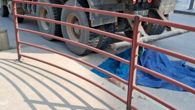 Yalova'da meydana gelen feci trafik kazasında, kamyonun çarptığı yaşlı adam