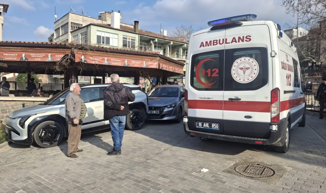Bursa'nın Gemlik ilçesinde meydana gelen olayda, direksiyon başında kalp krizi
