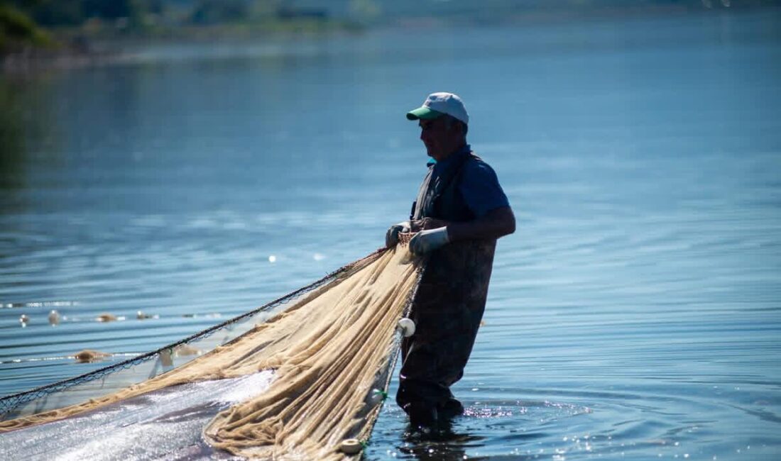 İznik Gölü’nde bu sezon gümüş balığı avında yaşanan bolluk, bölgedeki