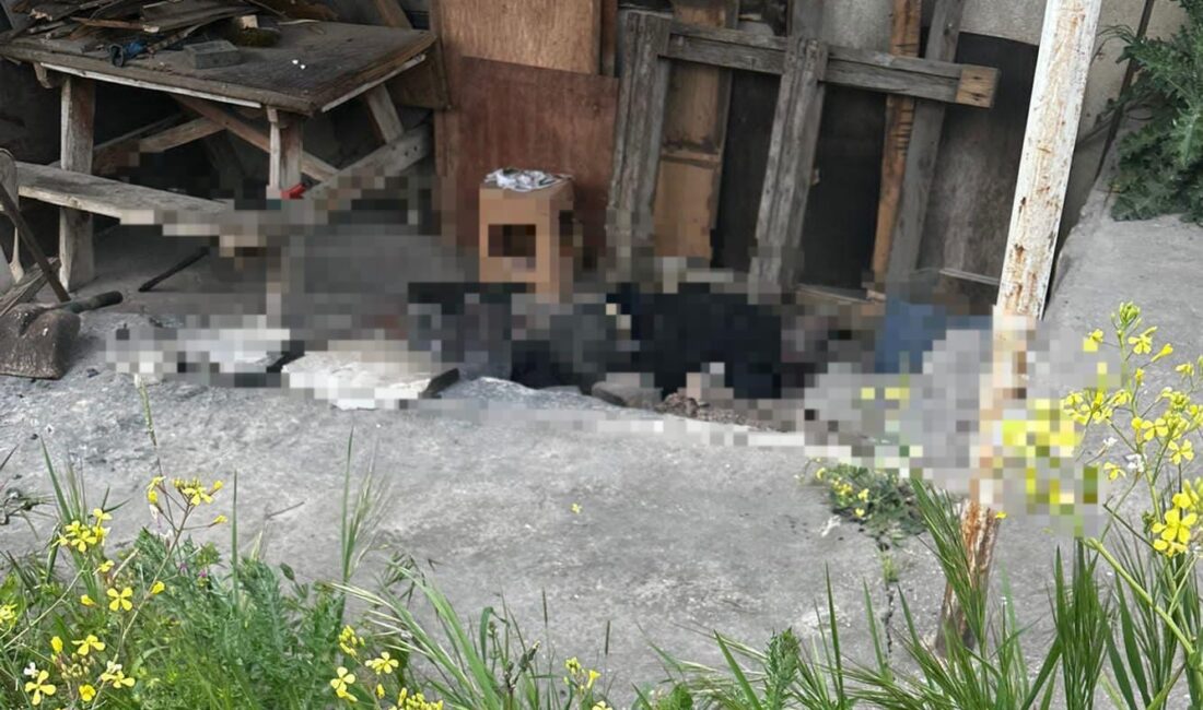 Bursa'nın Orhangazi ilçesinde, bir işletmede bekçi olarak çalışan yaşlı adam