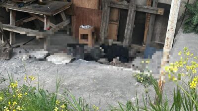 Bursa'nın Orhangazi ilçesinde, bir işletmede bekçi olarak çalışan yaşlı adam