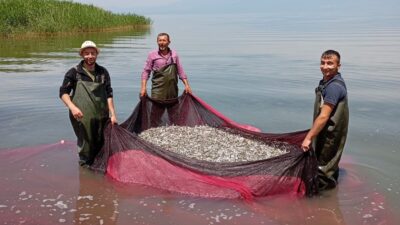 Bursa’nın en büyük Göl’ü İznik Gölü’nde gümüş balığı av sezonuna