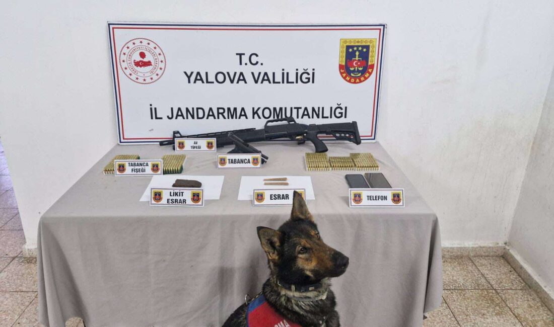 Yalova İl Jandarma Komutanlığı ekiplerinin Çınarcık ilçesinde yaptığı operasyonda, uyuşturucu