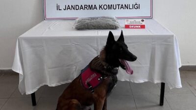 Yalova’da uyuşturucuya geçit verilmiyor. İl Jandarma Komutanlığı ekiplerinin yürüttüğü titiz