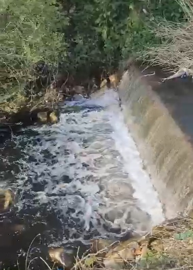 Son aylardaki yağışlarla birlikte İznik Gölü’nü besleyen derelerin debisi yükselip
