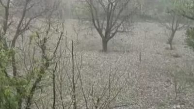 Bursa’nın İznik ilçesinde dün aniden bastıran dolu yağışı çiftçiye korku