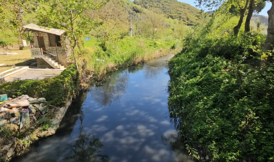 Bursa’nın Orhangazi ilçesinden başlayıp Gemlik Körfezi’ne dökülen Karsak Deresi’nde yıllardır