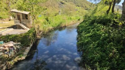 Bursa’nın Orhangazi ilçesinden başlayıp Gemlik Körfezi’ne dökülen Karsak Deresi’nde yıllardır