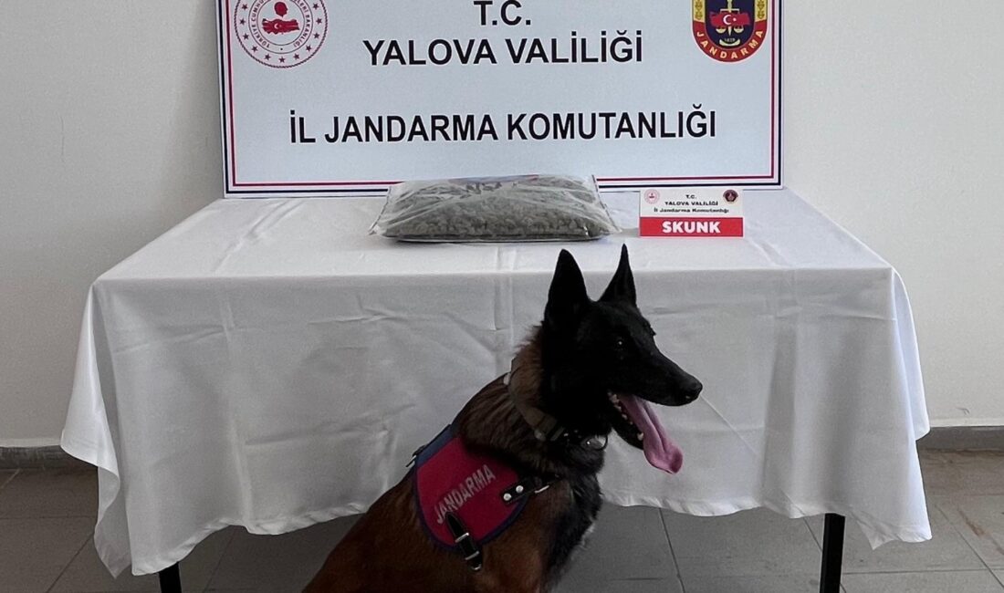 Yalova İl Jandarma Komutanlığı, uyuşturucuyla mücadele kapsamında yürüttü çalışmaları neticesinde