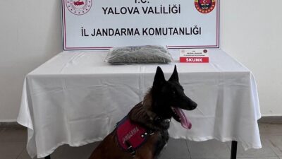 Yalova İl Jandarma Komutanlığı, uyuşturucuyla mücadele kapsamında yürüttü çalışmaları neticesinde