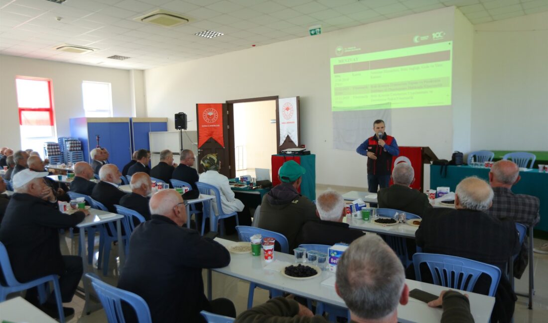 Bursa’nın Orhangazi ilçesinde, zeytin üreticilerine yönelik eğitim programı düzenlendi. Marmarabirlik