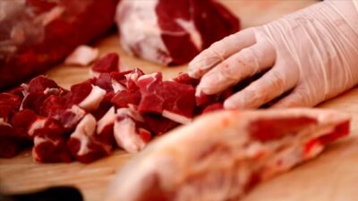 Bursa'nın dev etçisi Uludağ Entegre Et Tesisi, Karacabey ilçesinde 480