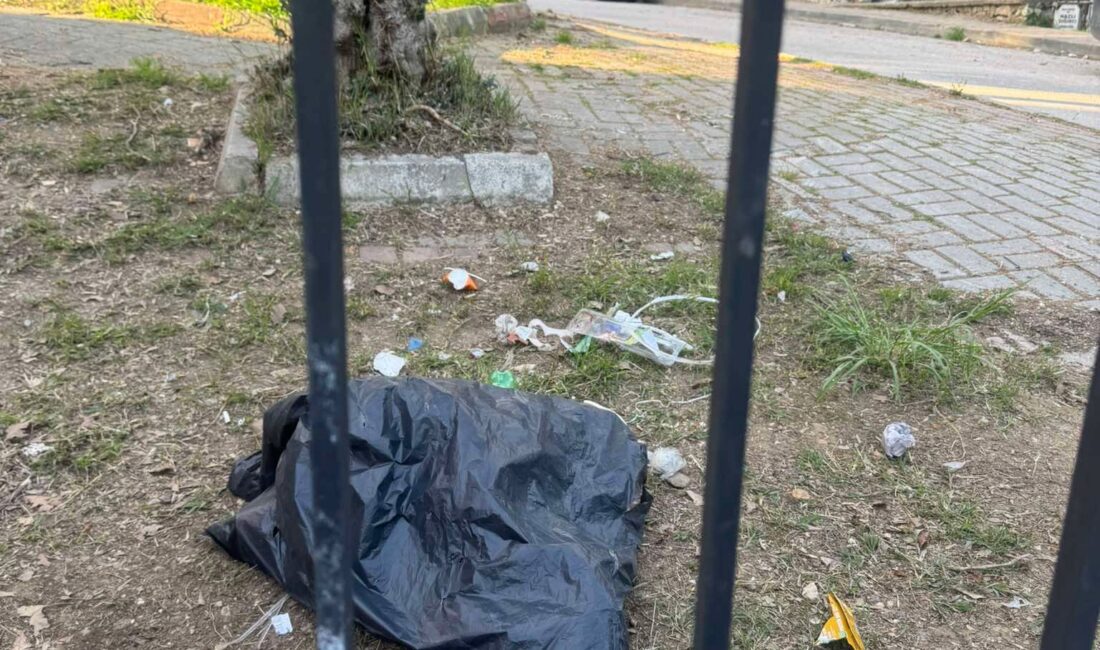 Orhangazi şehir içindeki mezarlığın hemen yanında bulunan park, duyarsız ve